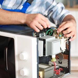 Assistência Técnica Pequenos Domésticos