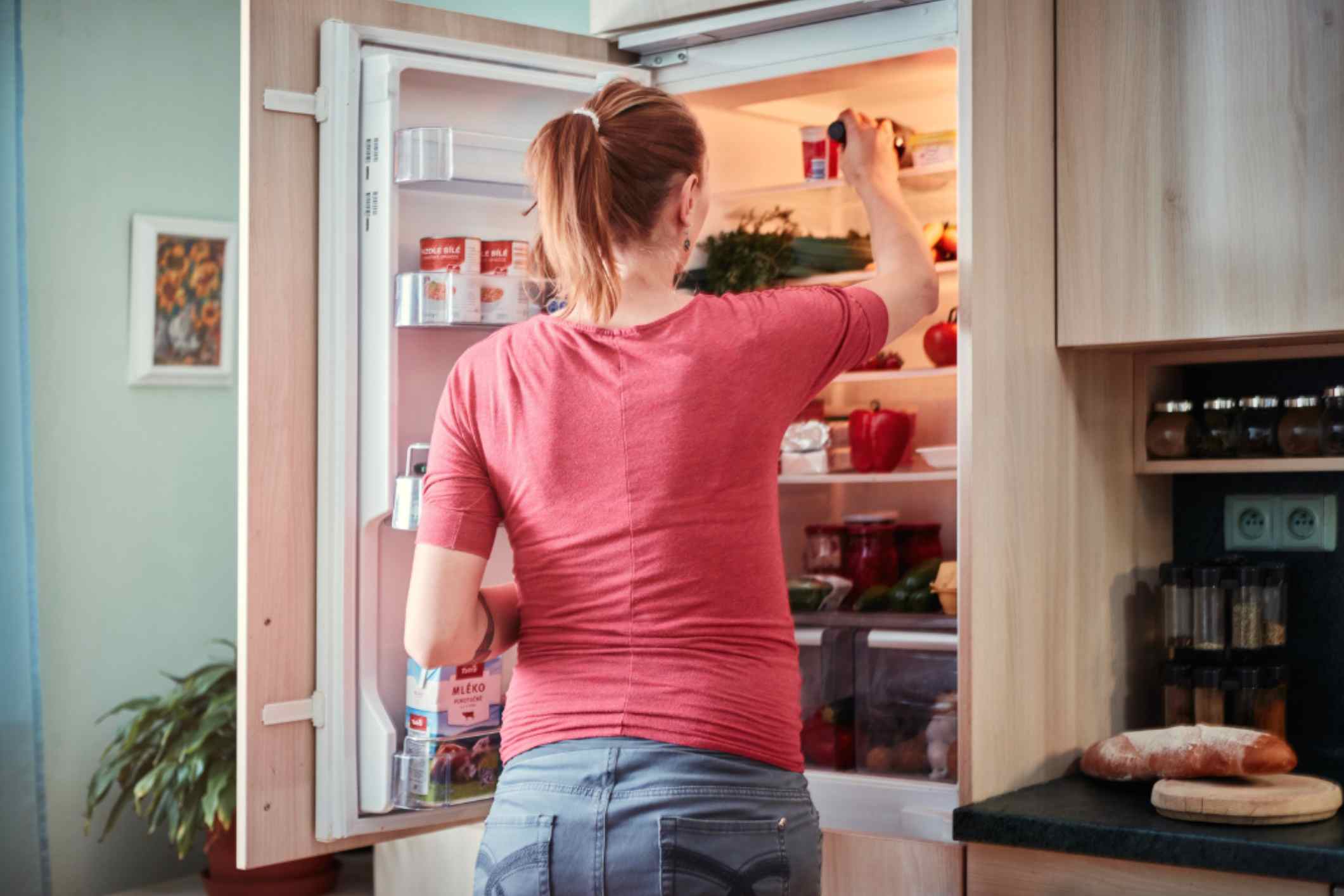 Sabia estas 6 curiosidades sobre o frigorífico
