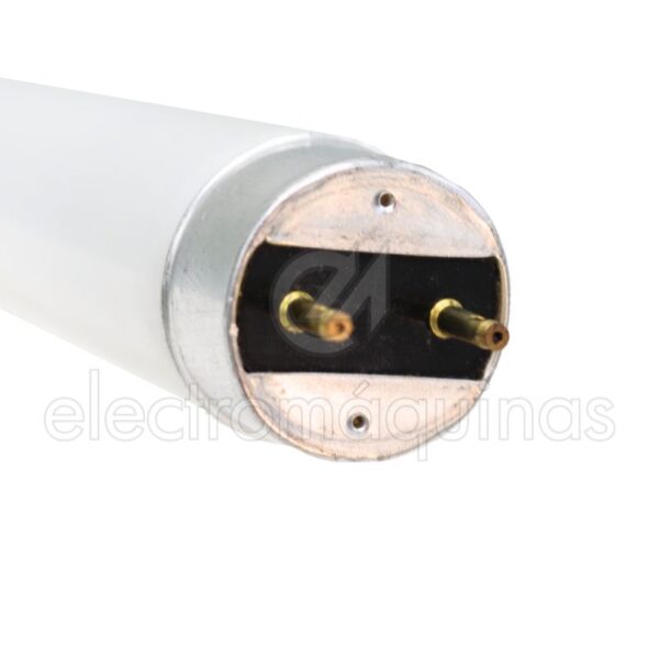 Lâmpada para Eletrocutar Insetos Philips 45mm 0787196006194